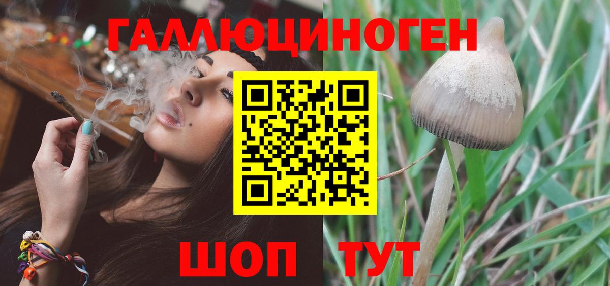Пушкино  хочу   Вход с VPN  Галлюциногенные грибы мухоморы 